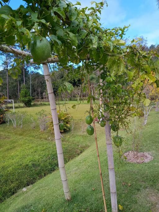 Sitio Paraiso Verde Juquitiba Dış mekan fotoğraf