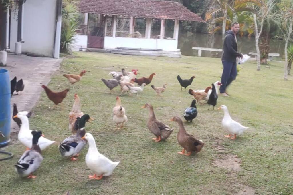 Sitio Paraiso Verde Juquitiba Dış mekan fotoğraf