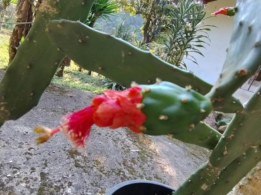 Sitio Paraiso Verde Juquitiba Dış mekan fotoğraf