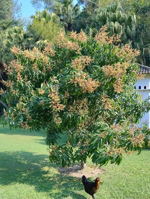 Sitio Paraiso Verde Juquitiba Dış mekan fotoğraf