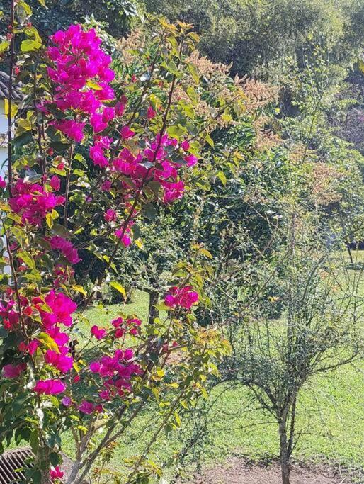 Sitio Paraiso Verde Juquitiba Dış mekan fotoğraf